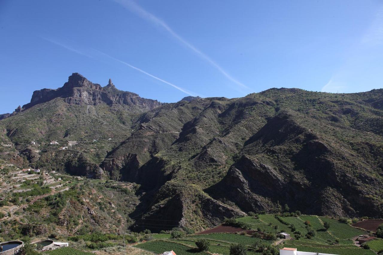 Vacacional La Tea The Best Location And The Best Views Крус-де-Техеда Экстерьер фото