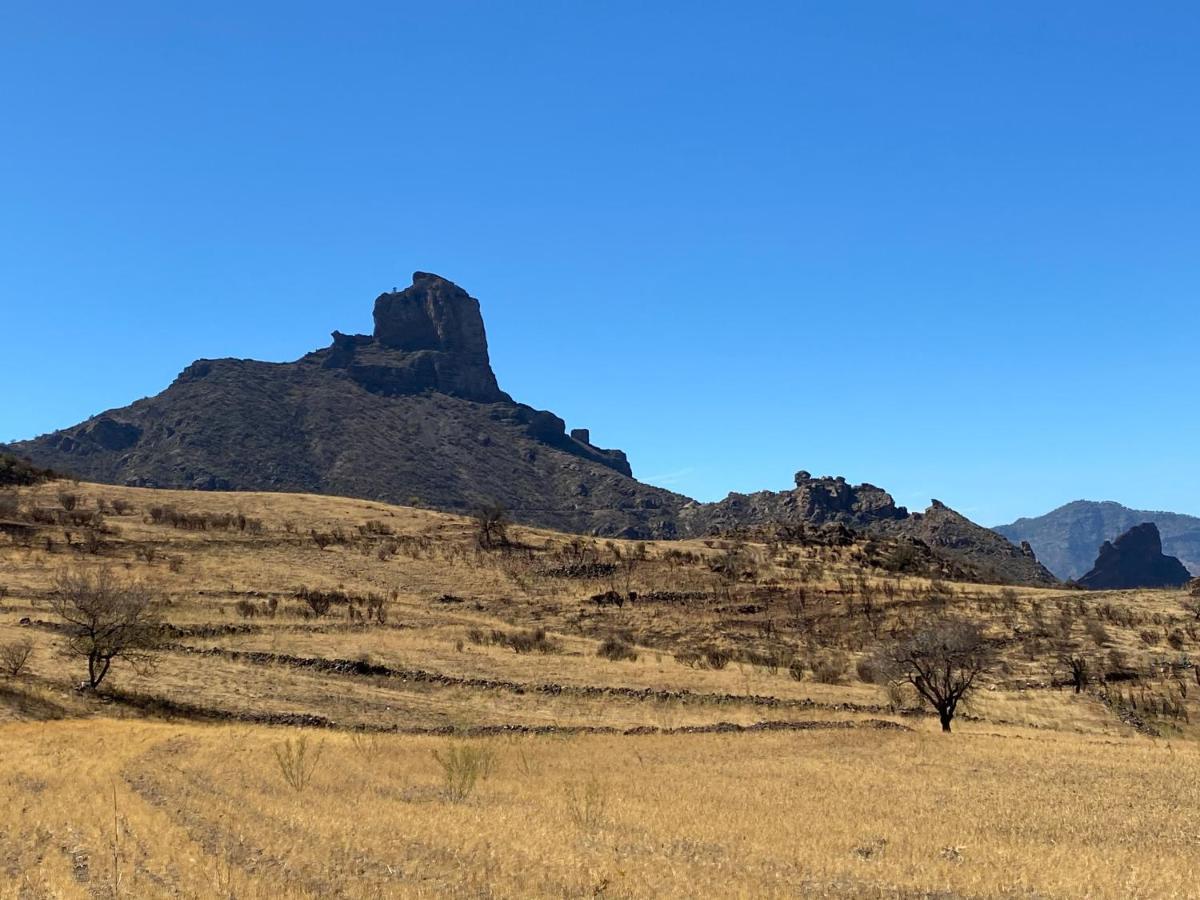Vacacional La Tea The Best Location And The Best Views Крус-де-Техеда Экстерьер фото